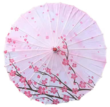 FLAIGO Parapluie en papier classique à faire soi-même, parasol chinois, parasol japonais pour fête de mariage, photographie, costumes, cosplay, décoration et autres événements, J,