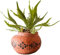 WJFMZS Jardinière Pot De Fleurs - Pot De Fleurs en Terre Cuite Dinde Maroc Récipient, Antique À Base De Plantes Cactus Succulentes Panier Ciment Vase Décoration pour Intérieur Extérieur Jardin Ménage