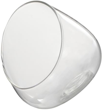 Schräg Geschnittenes Terrarium aus Glas für Mikrolandschaften