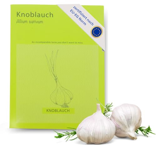 HAVENHAUS Knoblauch Samen zur Anzucht | Allium Sativum Knoblauchsamen 50 Stück für Anzucht drinnen & draussen ideal ab März | zertifziertes Saatgut mit detaillierter Anleitung auf Rückseite