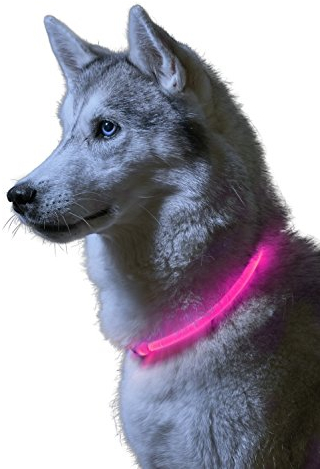 Auraglow Super Bright LED Light Up Dog Collar High Visibility Flashing Safety Pet Leash - PINK