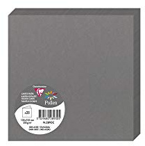 Clairefontaine 2893C Packung (mit 25 Doppelkarten Pollen, Gefaltet, 135 x 135 mm) 210g, dunkelgrau
