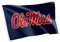 Desert Cactus University of Mississippi Flagge Rebellen Ole Miss U of M Flaggen Banner, 100 % Polyester, für drinnen und draußen, 7,6 x 12,7 cm (Design X)