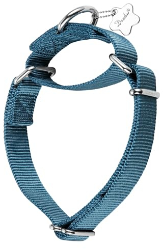 Dazzber Martingal Halsbänder für Hunde, Verstellbar Langlebig Kein Escape Stop Ziehen Hundehalsband Nylon für Große/Mittlere/Kleine Hunde (M(36cm-53cm), Haze Blau)