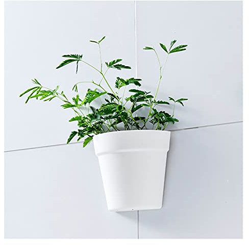 Fioriera da Appendere Pantaloni da giardino a parete impianti a muro Pentola di plastica Pentola di plastica verticale pianta verticale for ufficio all'aperto for ufficio balcone 2 confezioni Porta Va