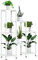 Outsunny Pflanzenständer mit 7 Ablagen Pflanzenregal Blumenständer Blumenregal Gartenregal für Wohnzimmer, Ecke, Balkon Belastung bis 2kg (jede Ebene) Weiß 65 x 23 x 94,5cm