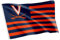 Desert Cactus Flaggen der University of Virginia, 100 % Polyester, für drinnen und draußen, 90 x 150 cm (Design Nation)