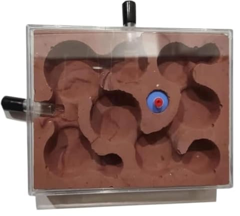 Natürliche Ameisenfarm, Ameisenfarm, Ameisenhaus, Ameisennest, Ameisenburg aus Gips, Ameisen beobachten, wie Ameisen Tunnel Graben, Ameisenfarm, Ameisennest, Burg, Ameisenhügel, Haus, Ameisenfarm for