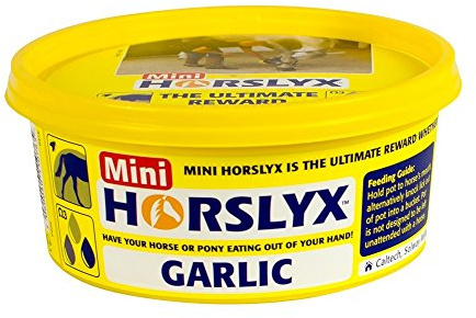 Horslyx Mini Licks (12 Pack) (Garlic)