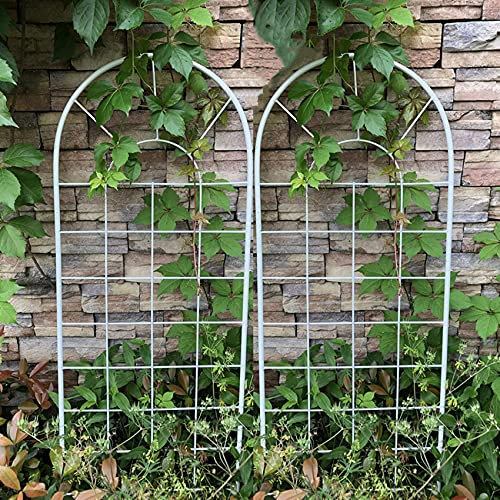 MOooy Lauben, Gartenlauben, Outdoor-Eisen oder Spalier-Wandkunst-Dekor für Kletterpflanzen, Rosen, Ranken, Gartenpaneel, inklusive Halterungen (2 Tabletten)