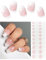 AutyaMee Semi Cured Gel Nail Strips (Elegant French), 20 Pcs Gel Nail Wraps, Stickers, UV Light Required, Salon Quality, Long Lasting