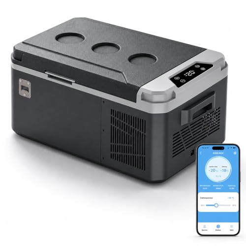 AS Mini nevera con compresor 12 V 24 V 230 V portátil eléctrica para coche, pequeño refrigerador con control por aplicación, 15 litros