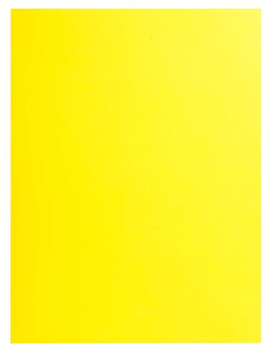 Exacompta - Art.-Nr. 415009E – Karton mit 250 Dokumentenmappen Rock''S 210 g/m² – leuchtende Farben – PEFC™-zertifiziert – Maße: 24 x 32 cm für Dokumente im Format A4 – Zitronengelb