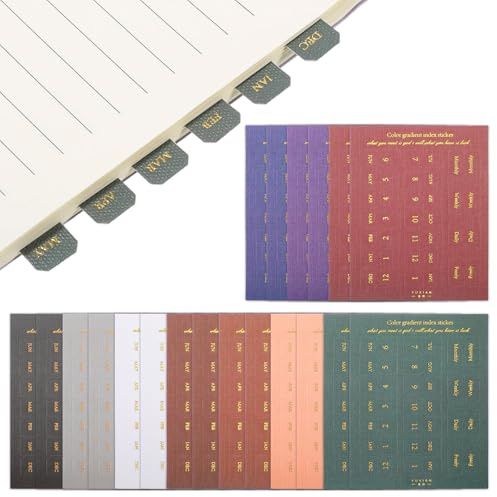 DOPENSPI 20 Blatt Monatsplaner Register, Selbstklebende Planer Monatsregisterkarten, Bunte Monats Register, Monatstrenner Aufkleber für Planer, Büro, Studium, Organisation(Set B)