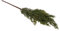 Rayher 55810000 Thuja-Zweig aus Kunststoff, 34 cm