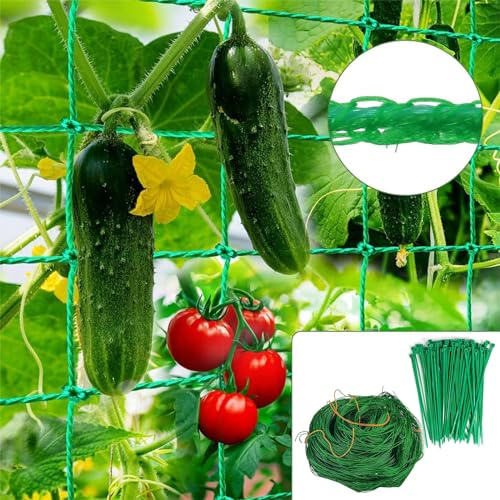 Filet Jardin Treillis,Filet pour Concombre 2,5 m x 2 m,Filet Concombre, avec 50 Attaches pour Plantes, pour Concombres,Tomates, Jardins, Serres Plantes Grimpantes(1 * Réseau 50 * Connexions par Câble)