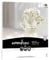 Astrodesigns Bastelkarton, 30,5 x 30,5 cm, 29,5 kg/176 g/m², helles Weiß, 70 Blatt (91522)