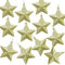 ATB-Foger 6 cm Ciondoli a Forma di Stella Decorazione Natalizia Decorazione per Albero di Natale Ciondolo Stella con Cordino per Camino Finestra Avvento Decorazione da Tavolo, 12PCS