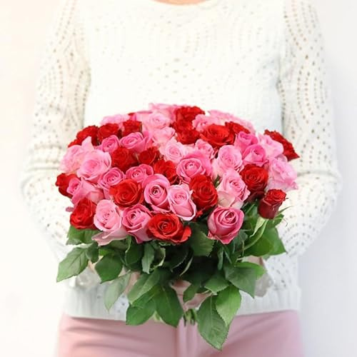 Fleurs et Délices - Brassée de Roses Max Havelaar - Fleurs Fraîches - Très Grand Bouquet, Commerce Équitable, 60 Tiges