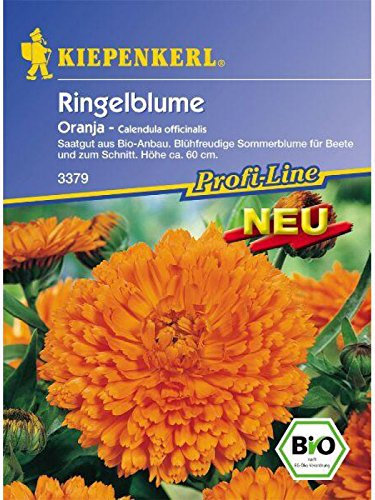Calendula officinalis Ringelblume Oranja Bio-Saatgut