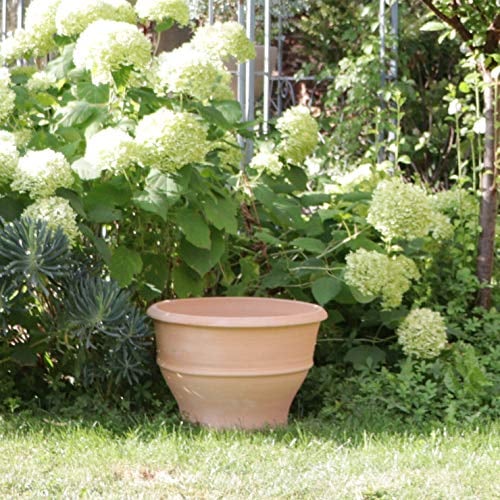 Kreta-Keramik Palatina Workshop | Terracotta - Vaso per piante | 40 cm | Ampia fioriera resistente al gelo per piante esterne | Buxus