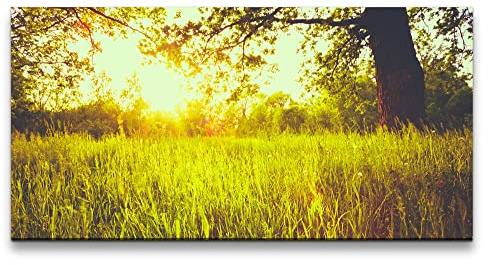 Paul Sinus Leinwandbild 120x60cm Natur Baum Feld Sommer Sonnenstrahlen Schön Beruhigend