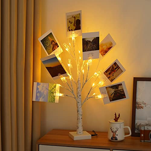 Money Tree Gift Card Holder - DIY Birch Tree Lamp with 12 Clips and 24 Twig LEDs, Display Money Cash Photo for Birthday Christmas Home Party Festival Wedding