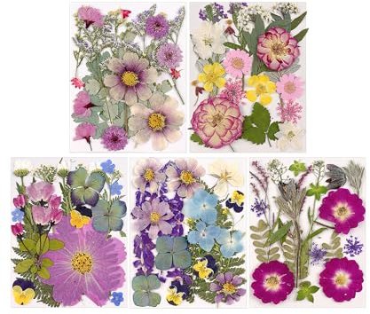 Gugxiom Getrocknete Blumen für Harz, 5 Beutel mit 100 Stück Trockenblumen Zum Basteln, 5 Farbthemen Trockenblumen für Nagelkunst, Harz, DIY-Schmuckdesign, Handyhüllen usw. (Typ 2)