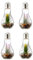levandeo 4er Set Sukkulenten LED Glühbirne Glas B x H: 8x19cm Deko Lampe Kunstpflanze Grün Hängelampe Tischdeko