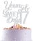 Silver Glitter Young & Sweet Only 17 Cake Topper, Happy Girls 17th Birthday Cake Decorations, Hello 17, Cheer 17 Years Old Party Decor Supplies