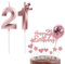 Bolosa 21st Birthday Decorations Set - 21st Birthday Cake Topper & Number 21 Candle (Rose Gold, Number 21)