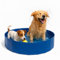 Piscina para Perros Grandes y Pequeños - 120x30 - Piscinas Desmontables - Piscina Mascotas - Piscina Rigida Perro - Baño para Perros - Refrescar Mascotas - Perros Verano - Piscina Calor Verano