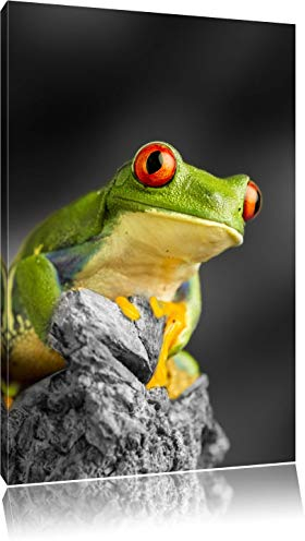 Pixxprint schöner Rotaugen Frosch B&W, Größe: 60x40cm, Leinwandbild, fertig gespannt, Wandbild, Dekoration, Kunstdruck, kein Poster