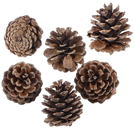 PRETYZOOM 6St Dekorationen aus Tannenzapfen Weihnachten Tannenzapfen Ornamente Weihnachtsbaum Weihnachtsdekorationen Christbaumschmuck Tannenzapfen Handwerk hölzern
