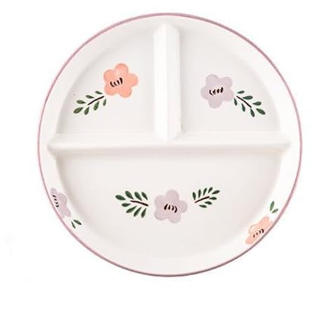 DouYuan Assiette 3 Compartiments Régime Ceramique, Assiette Reequilibrage Alimentaire Porcelaine, Assiettes Divisées pour La Perte de Poids