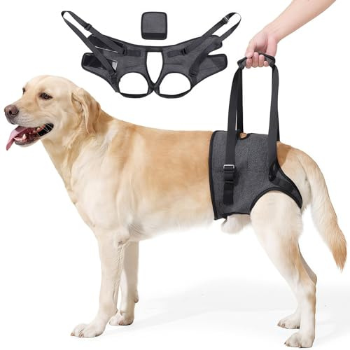 Hundehebegeschirr für die Hinterbeine,Tragegurt Hund Hinten,Hunde Hüftstütztrageharnisch mit Einstellbares Hebegeschirr für Unterstützung Rehabilitation Geeignet,behinderte,mittelgroßen &große Hunde