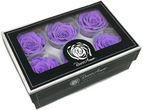 Generico 6 Rose Stabilizzate Classic Roses Lilla 4.5x6.5 cm