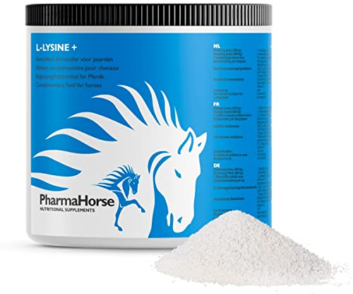 PharmaHorse L-Lysin+ | Immunsystem | Abwehrzellen | Müdigkeit | 100% Dopingfrei | 500 Gramm