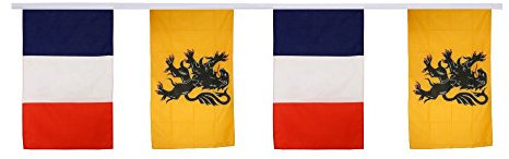 Digni Grande Guirlande 12 Drapeaux d'amitié France - Nord Pas de Calais - 30 x 45 cm / 8,9 m Sticker Gratuit