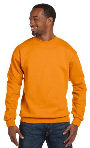 Hanes ComfortBlend® EcoSmart® Crew Sweatshirt