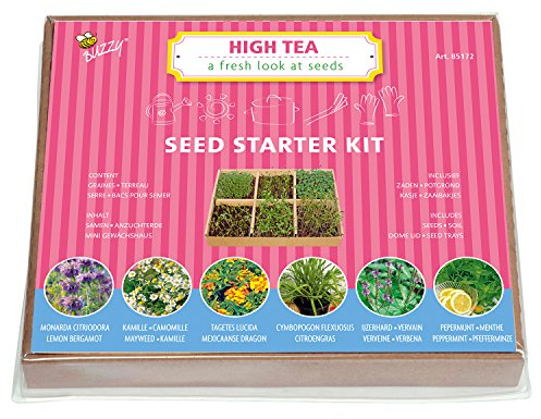 Teegewürze Anzuchtset - 6 Sorten mit mini Gewächshaus