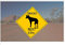 EpochSign Plaque en métal de Style Australien, Panneau Routier Australien, Panneau de Fantaisie Amusant, Dingoe Outback - 12 x 12 Pouces