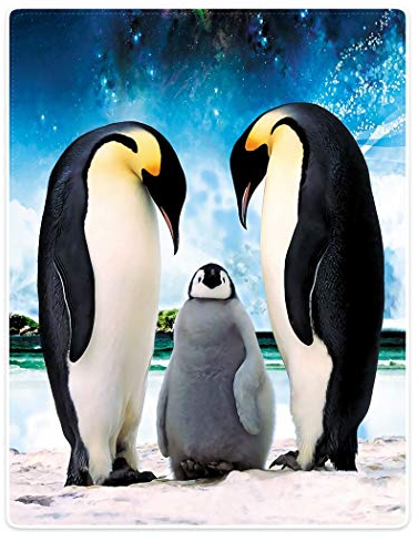 YISUMEI Kuscheldecke Blauer Himmel Pinguin Decke Flauschige Weich Fleecedecke für Sofa Bett 135x200cm