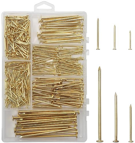 JEGONFRI Assortiment de clous dorés de 6 tailles, 358 pièces, clous pour accrocher des photos, clous de finition, clous en bois, clous muraux pour suspension (7,6 cm, 5,1 cm, 3,8 cm, 3,8 cm, 2,5 cm,