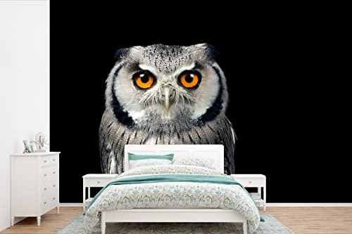 Selbstklebend Tapete Wandpapier Wandaufkleber Fototapete Tapeten Wanddeko 420x280 cm Eule - Vogel - Orange - Schwarz
