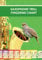 Saxophone Trill Fingering Chart (Colorful Saxophone Fingering Charts)