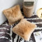 YDFYX 2Pcs Faux Pelz Wurfkissenbezug, Deluxe Home Dekorative Super Weich Plüsch Mongolischen Faux Pelz Wurf Kissenbezug Kissenbezug (2Pcs Beige, 50x50 cm)