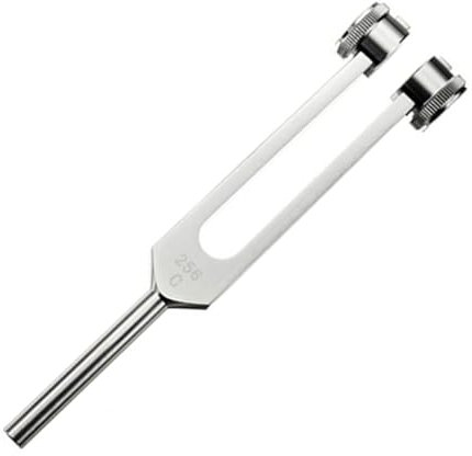 1Stk 256Hz Edelstahl-Stimmgabel Standard Violine Gitarre Tuner Instrument & Aufbewahrungstasche für Vibrationstherapie Klangheilung Neurologische Untersuchungen