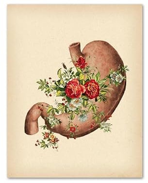 Vintage Menschliche Anatomie Herz Leber Niere Lunge Wandkunst Leinwand Malerei Poster Und Drucke Wandbilder for Wohnzimmer Dekor(3,10x15cm Canvas)