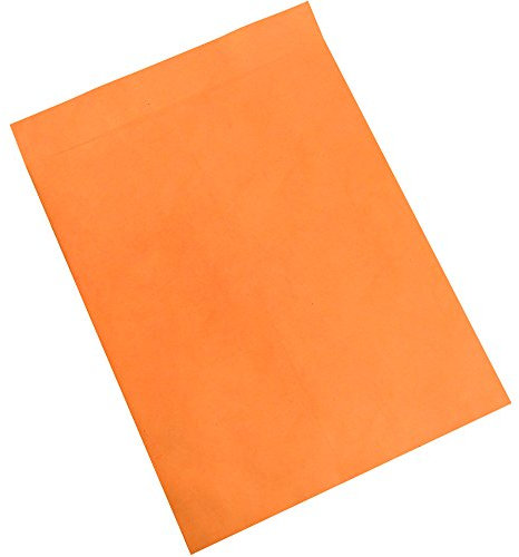 BOX USA BEN1084 Jumbo-Briefumschläge, 43,2 x 55,9 cm, Kraftpapier, 100 Stück